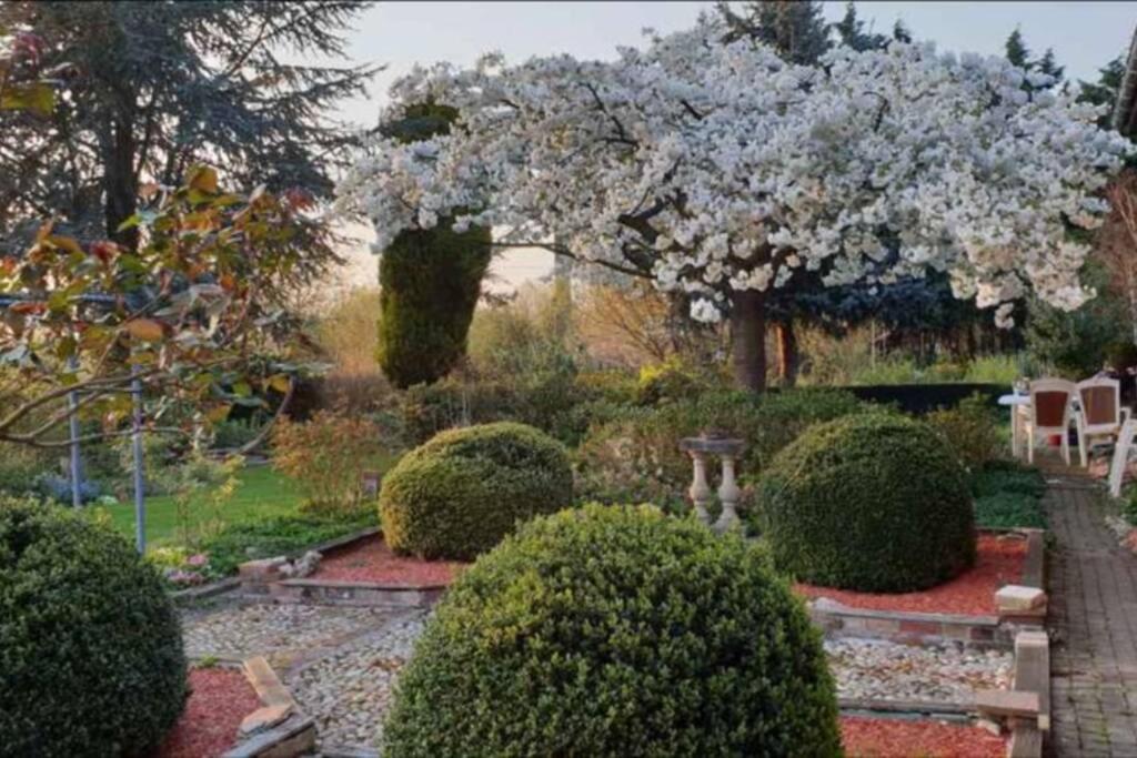 Chez Maya Erquinghem-Lys Buitenkant foto